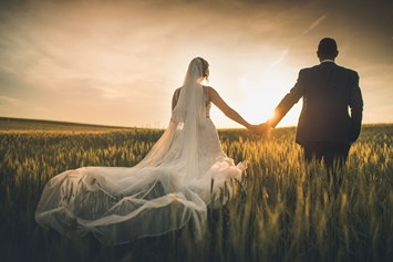 Hochzeit: Fotoshooting am hofeigenen Landwirtschaftlichen-Feld - Stadlerhof Wilhering