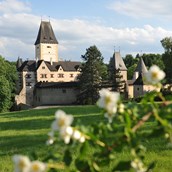 Hochzeit: Schloss Ottenstein - Schloss Ottenstein