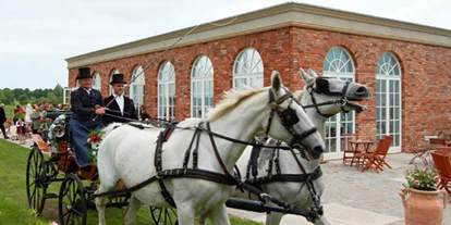 Wedding - PLZ 18119 (Deutschland) - Kutsche vor Orangerie Groß Siemen - Gut Gross Siemen