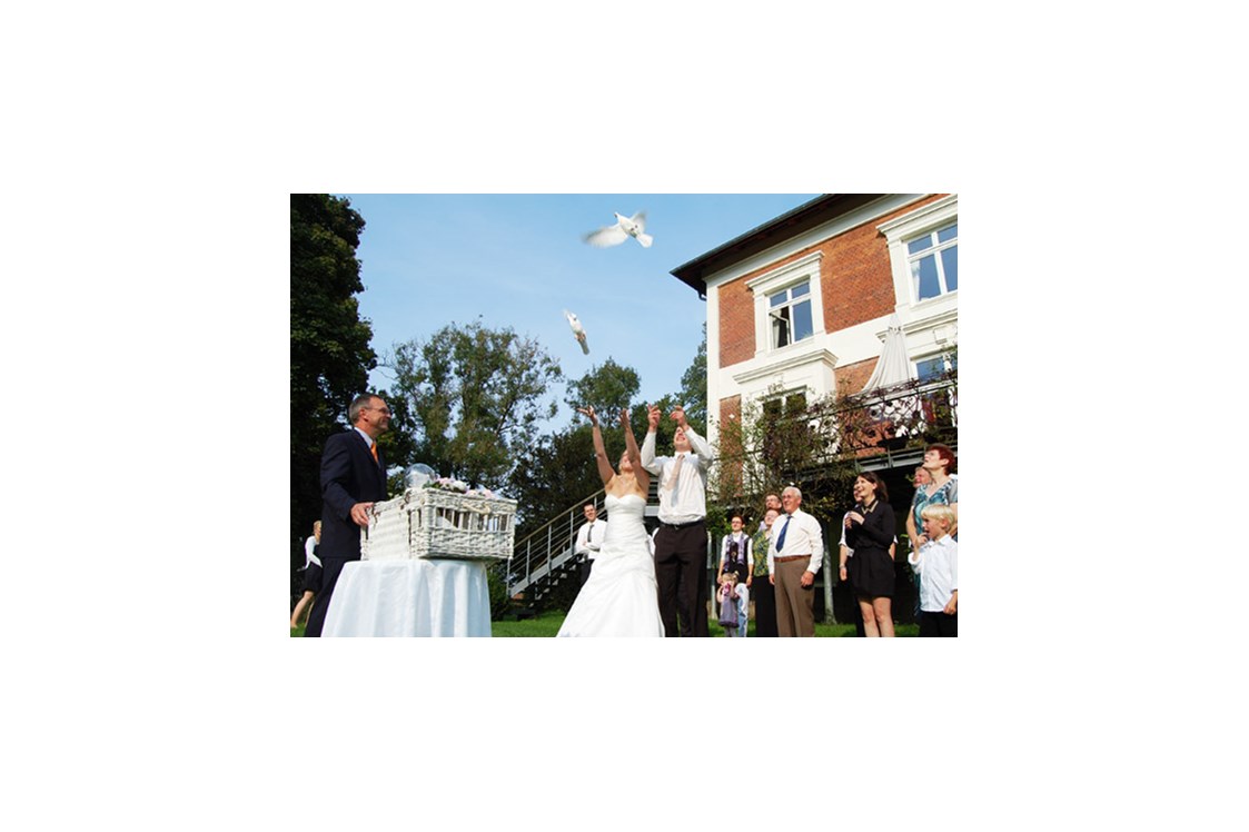 Hochzeit: Taubenshow vor dem Gutshaus Groß Siemen - Gut Gross Siemen