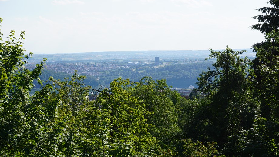Weinsicht Esslingen Ihre Hochzeit Inmitten Der Weinberge In
