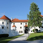 Hochzeitslocation - Schloss Bogenšperk