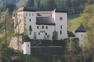 Hochzeit: Schloss Goldegg