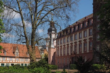 Hochzeit: Innenhof Schloss Erbach - Schloss Erbach