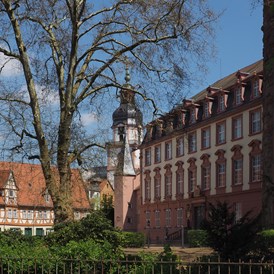 Hochzeit: Innenhof Schloss Erbach - Schloss Erbach