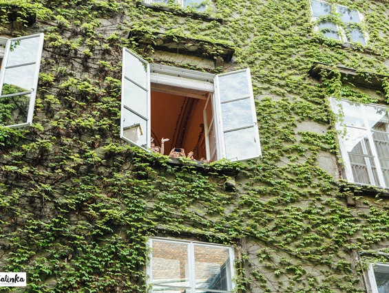 Hochzeit: Palais Pallavicini