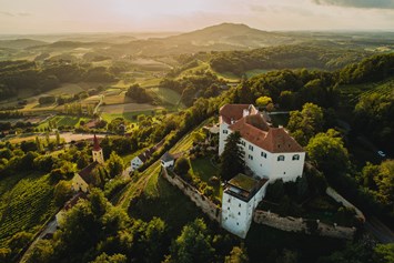 Hochzeit: Luftaufnahme des Schloss Kapfenstein in der Steiermark. - Schloss Kapfenstein Hotel Restaurant