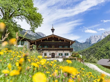 Hochzeit: Berg'k'hof Kaisertal - Alpine Hideaway