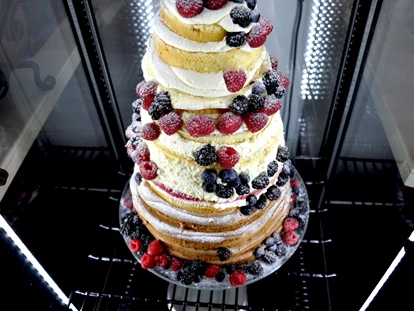 Mariage - Wiener Alpen - Hochzeitsschloss Gloggnitz
