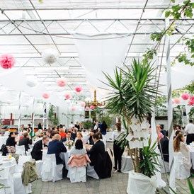 Hochzeit: Hochzeit feiern im Glashaus der Arche Moorhof in Großhöflein. - Arche-Moorhof