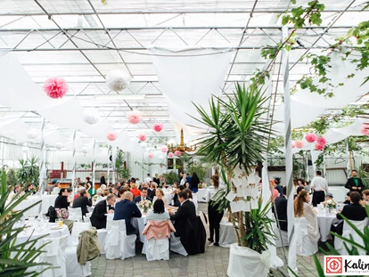Wedding - Bad Sauerbrunn - Hochzeit feiern im Glashaus der Arche Moorhof in Großhöflein. - Arche-Moorhof
