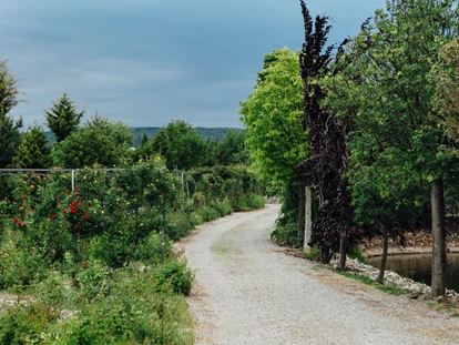 Wedding - Bad Sauerbrunn - Arche-Moorhof