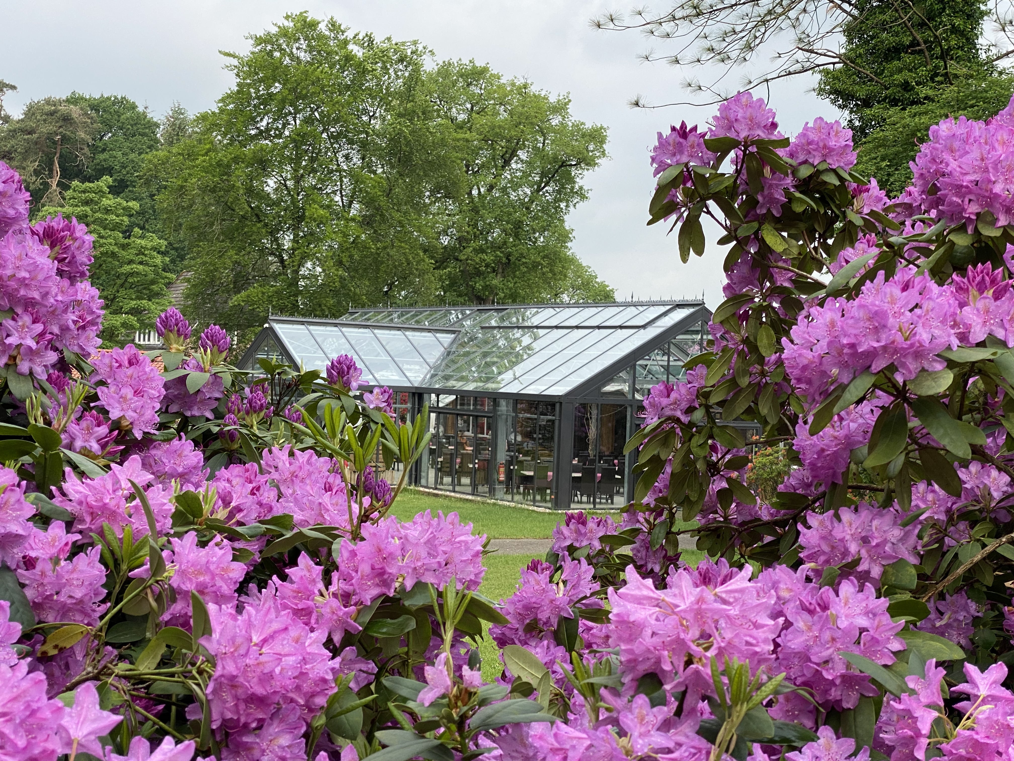 Hochzeit: Orangerie im Rhododendronpark