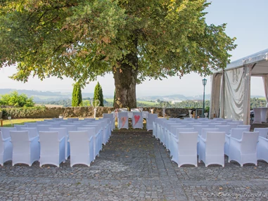 Hochzeit: Trauung unter der Sommerlinde - Burg Kreuzen