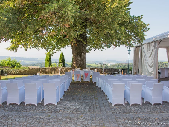 Hochzeit: Trauung unter der Sommerlinde - Burg Kreuzen