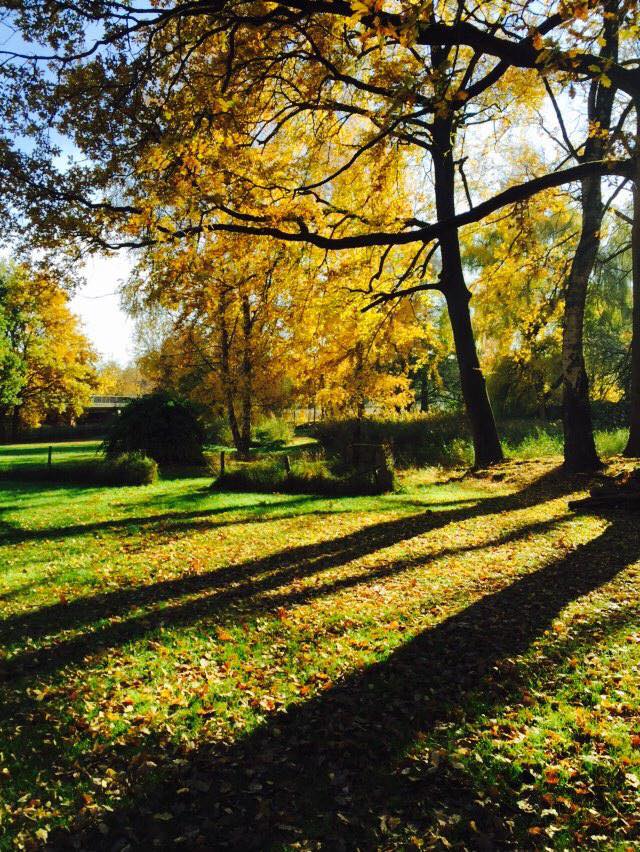 Hochzeitslocation: Blick in den Garten, hier besteht die Aufstellmöglichkeit für ein Festzelt - Gutshof im Oertzetal in Oldendorf bei Hermannsburg