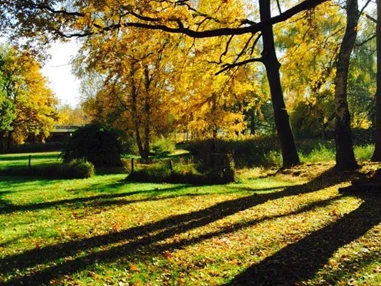 Hochzeit: Blick in den Garten, hier besteht die Aufstellmöglichkeit für ein Festzelt - Gutshof im Oertzetal in Oldendorf bei Hermannsburg