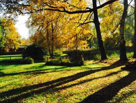Hochzeit: Blick in den Garten, hier besteht die Aufstellmöglichkeit für ein Festzelt - Gutshof im Oertzetal in Oldendorf bei Hermannsburg