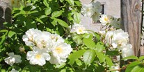 Hochzeit - Laakirchen - Im Sommer blühen an den historischen Apfelbäumen duftende weiße Kletterrosen. - Landschloss Parz