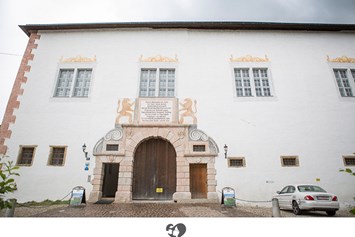 Hochzeit: Schloss-Portal des Landschlosses Parz. - Landschloss Parz