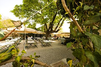 Hochzeit: Der Gastgarten - Pfarrwirt - Das älteste Wirtshaus Wiens