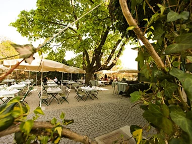 Hochzeitslocation: Der Gastgarten - Pfarrwirt - Das älteste Wirtshaus Wiens