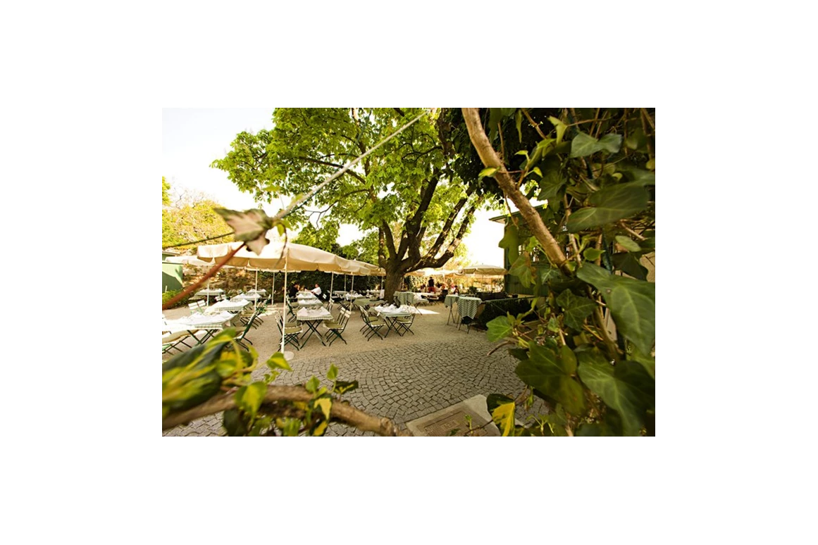 Hochzeitslocation: Der Gastgarten - Pfarrwirt - Das älteste Wirtshaus Wiens