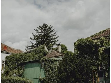 Hochzeitslocation: Pfarrwirt - Das älteste Wirtshaus Wiens
