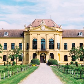 Hochzeit: Schloss Eckartsau